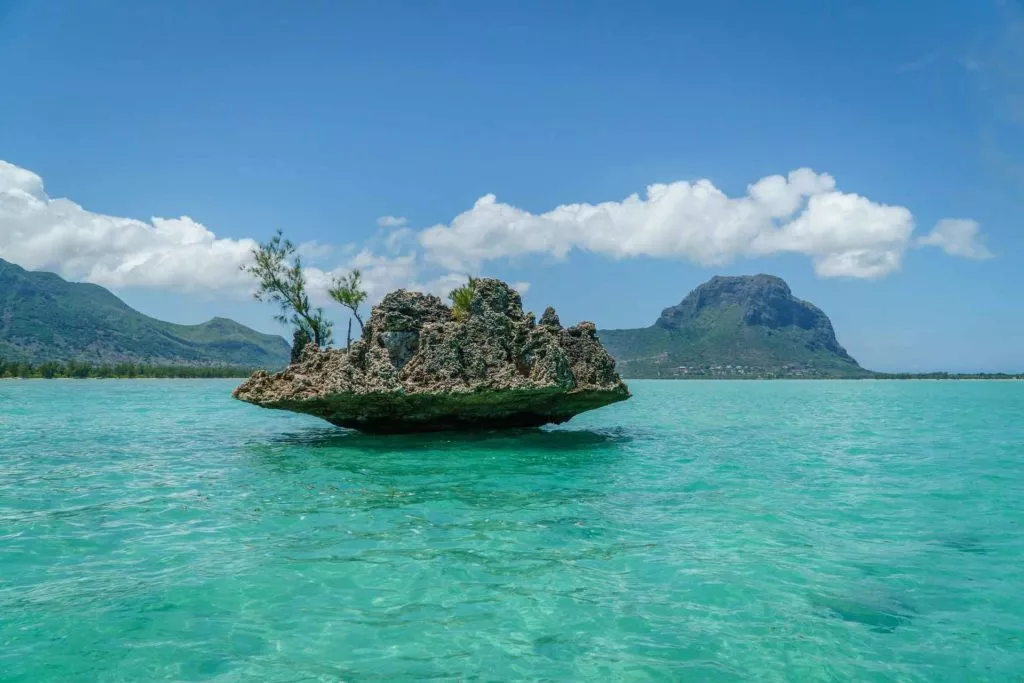 voyage a l'ile maurice avec un chien